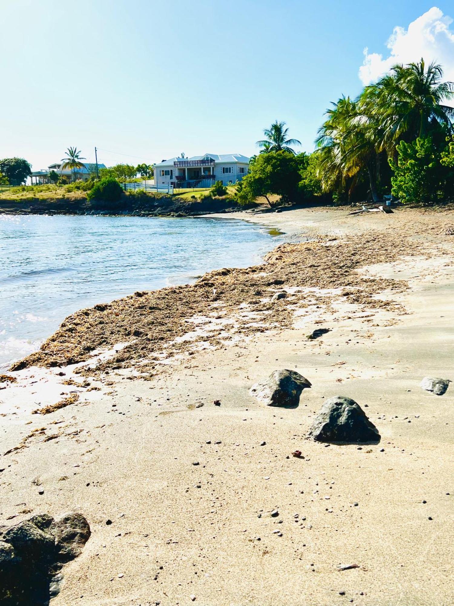 Sealavie Apartments - Grenada St. George's المظهر الخارجي الصورة